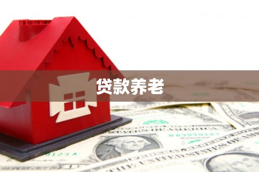道外贷款养老