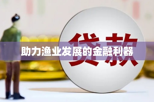 卑南助力渔业发展的金融利器