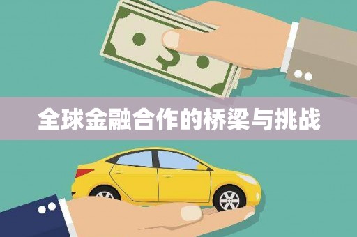 定兴全球金融合作的桥梁与挑战