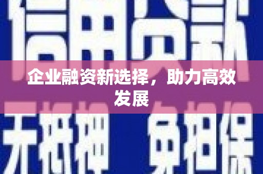 海原企业融资新选择，助力高效发展