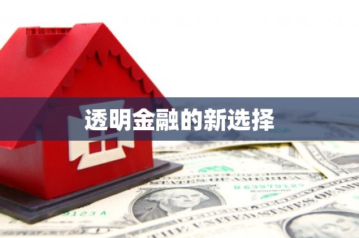 新店透明金融的新选择