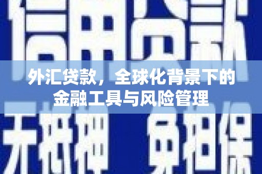 巨野外汇贷款，全球化背景下的金融工具与风险管理